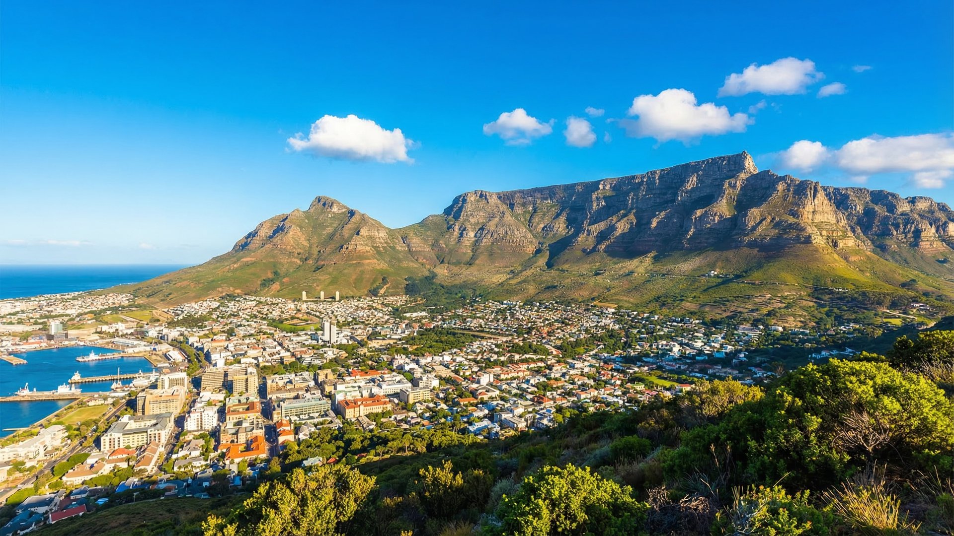 South Africa cannabis regulatory landscape 2026