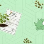 South Africa: Hemp Cultivation Regulations by Province — A Complete 2026 Guide