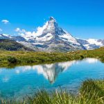 Switzerland’s Path to Full Legalization: Zurich Pilot Sells 750kg and Steals CHF 7.5M from the Black Market