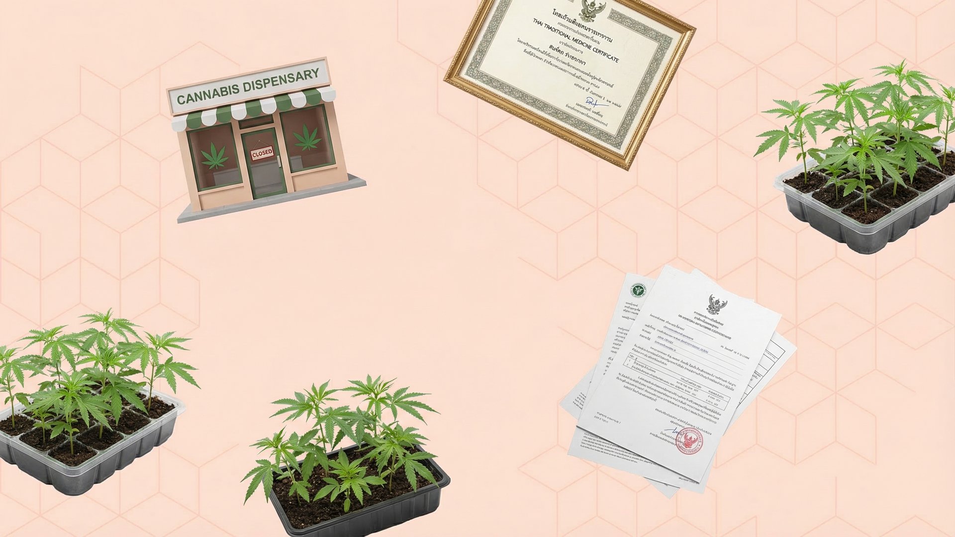 Thailand cannabis re-criminalization 2025 - GrowerIQ