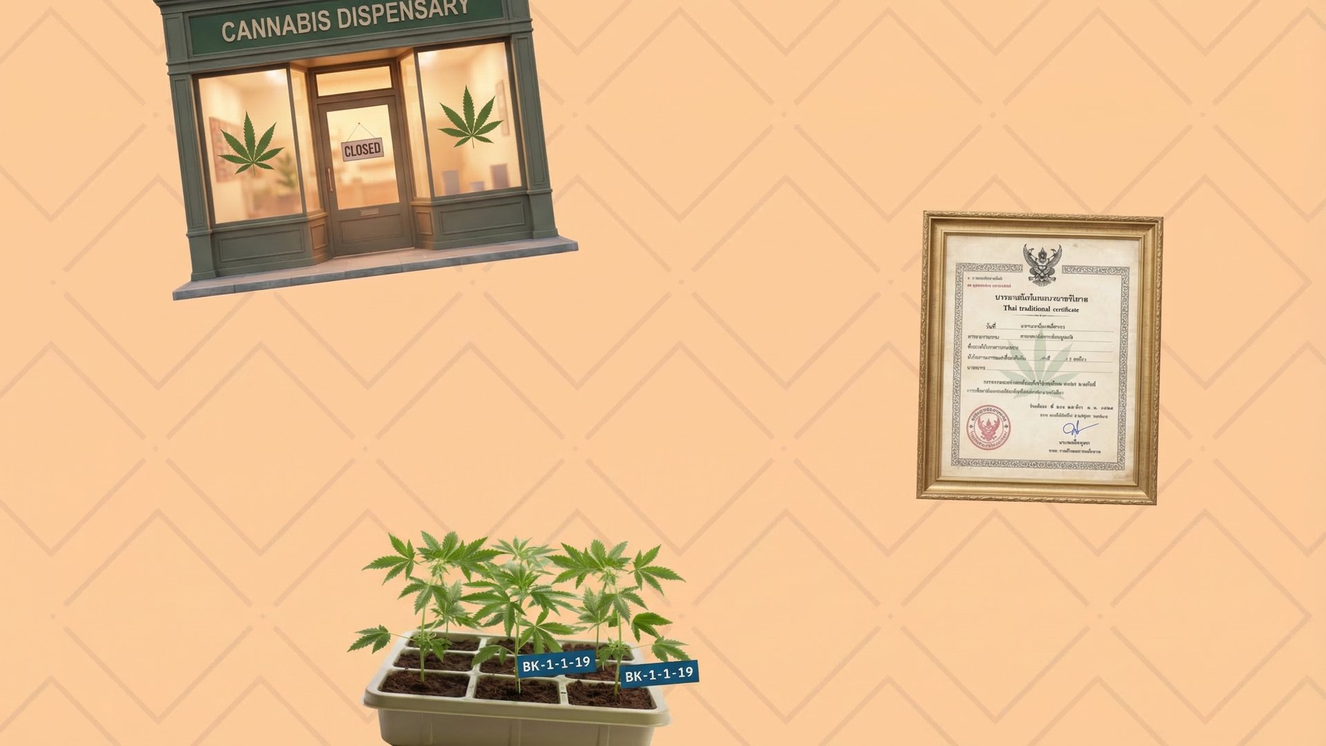 Thailand cannabis re-criminalization 2025 - shop closures