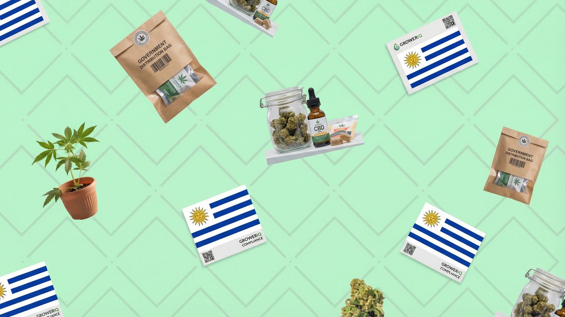 Uruguay's three-channel cannabis distribution model showing pharmacy, club, and home cultivation pathways