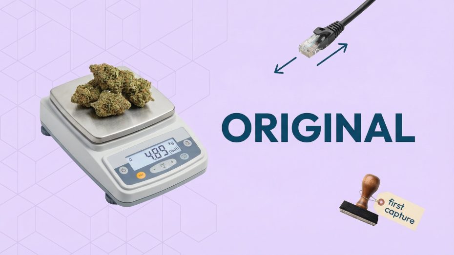 Original data recording cannabis scale integration