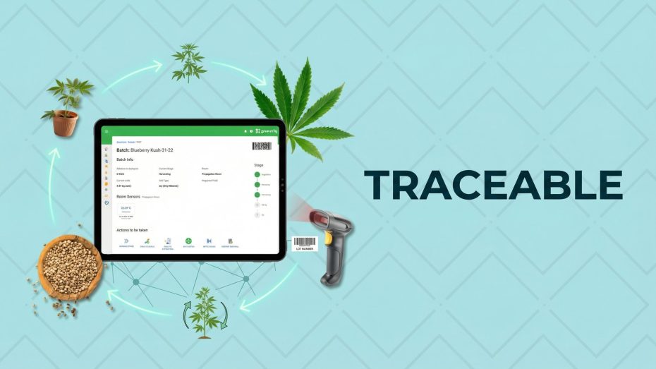 Traceable batch records cannabis seed to sale lineage