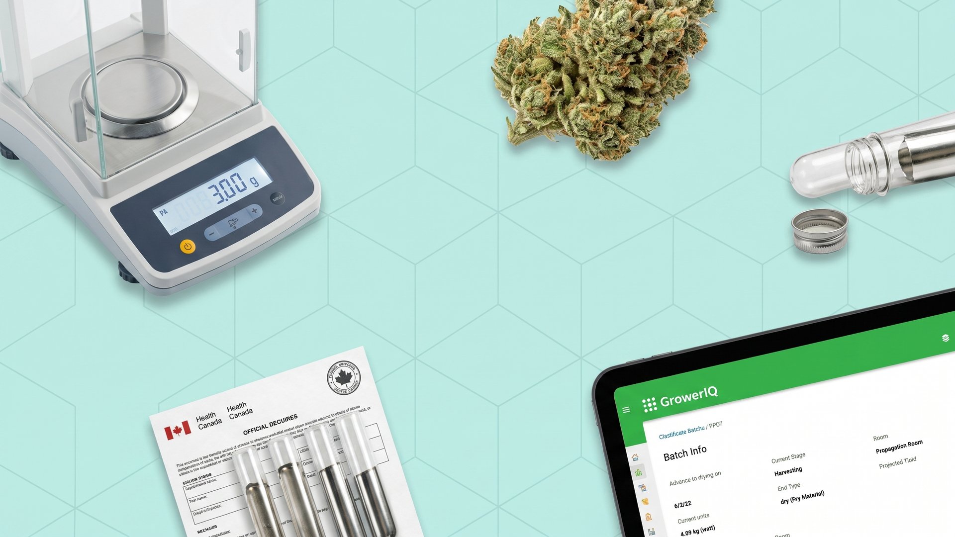 Cannabis heavy metals testing limits guide