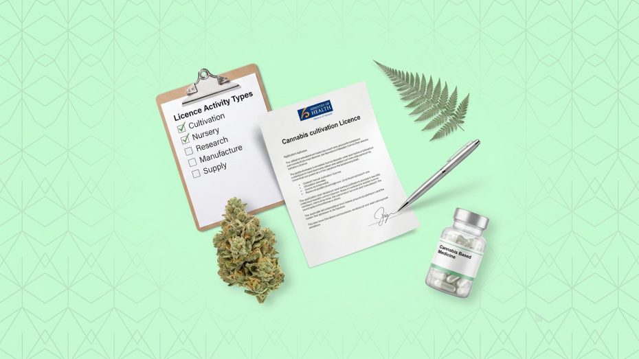 NZ cannabis licence documents with cannabis flower and silver fern