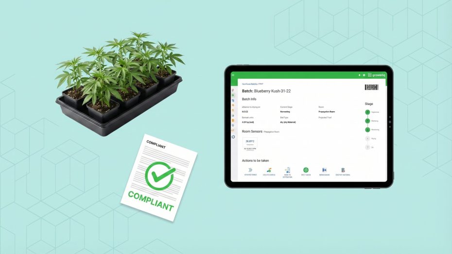One-Click CTLS Report - cannabis plants, compliance document, and GrowerIQ batch tablet interface