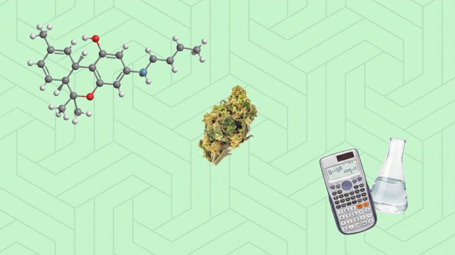 Total THC formula cannabis featured image