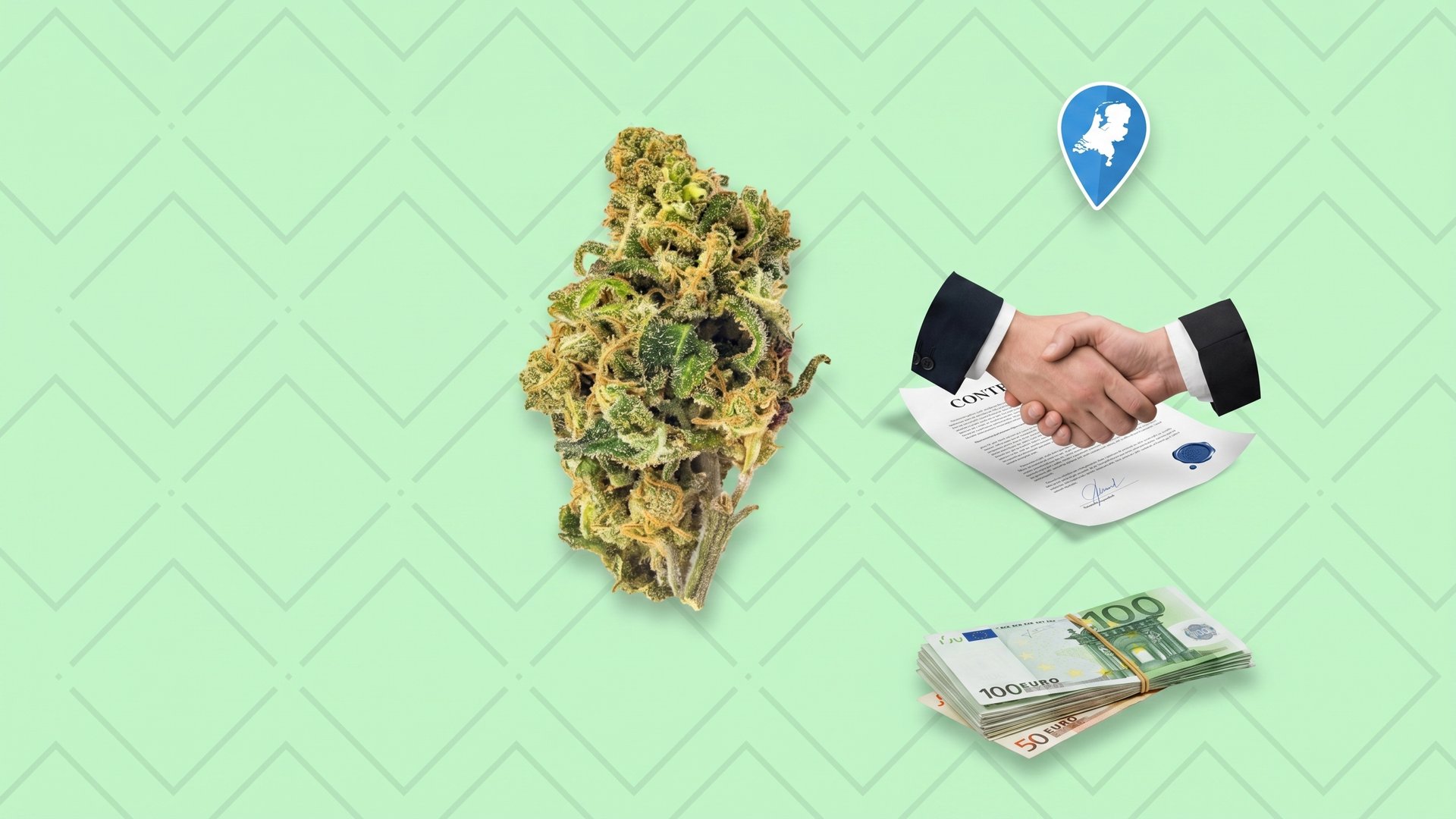Wietexperiment licensed cultivators guide