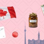 Canada Exports 240 Tonnes of Cannabis in 2025: Where It’s Going and Why It Doubled