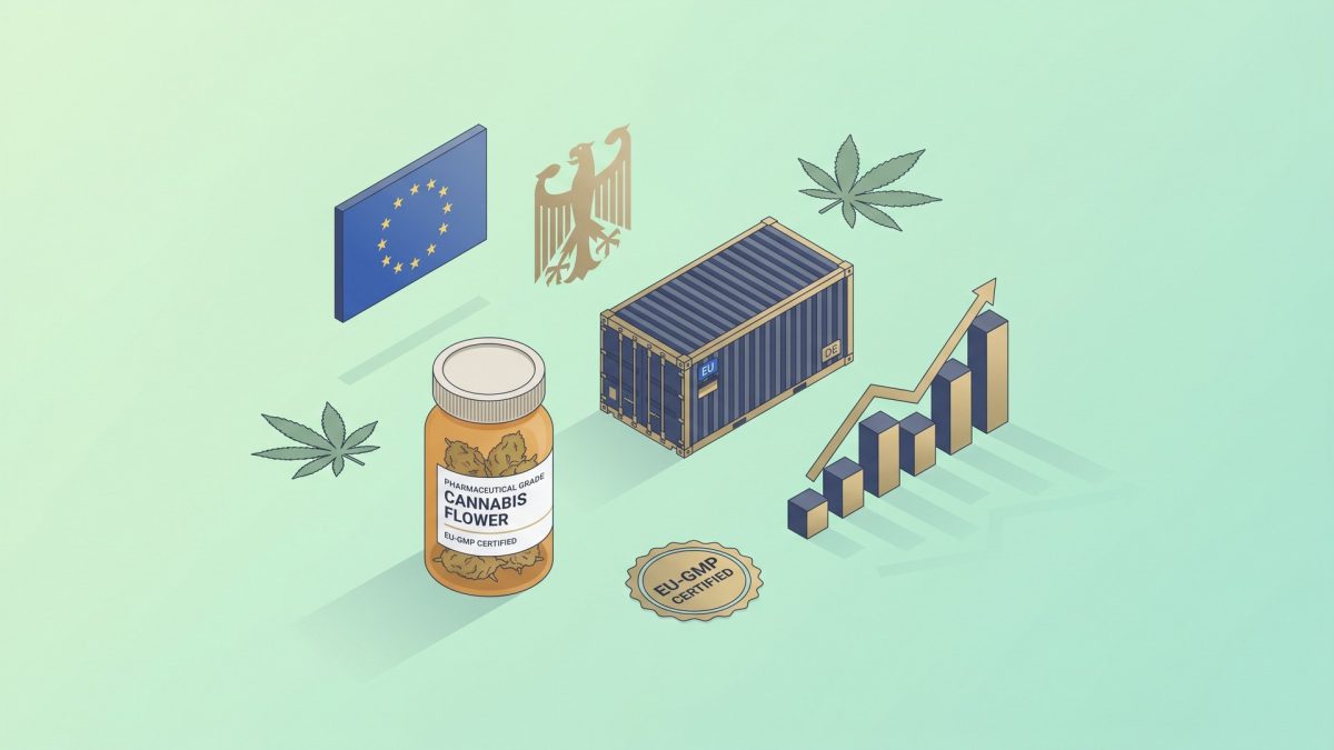 European Cannabis Import Race Germany 2025: EU flag, German Bundesadler eagle, amber pharmaceutical jar of dried cannabis flower labelled EU-GMP certified, EU import DE shipping container, EU-GMP certified gold seal, and a rising tonnage bar chart