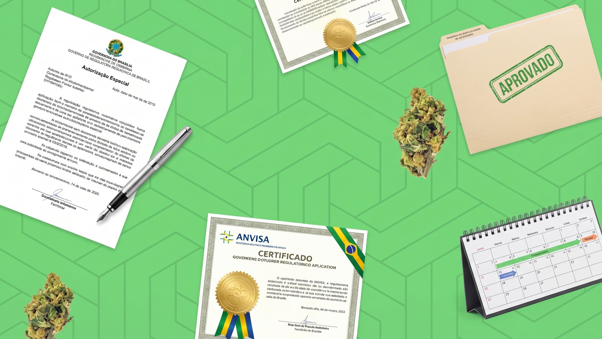 ANVISA Autorização Especial cannabis application — regulatory certificate with gold seal