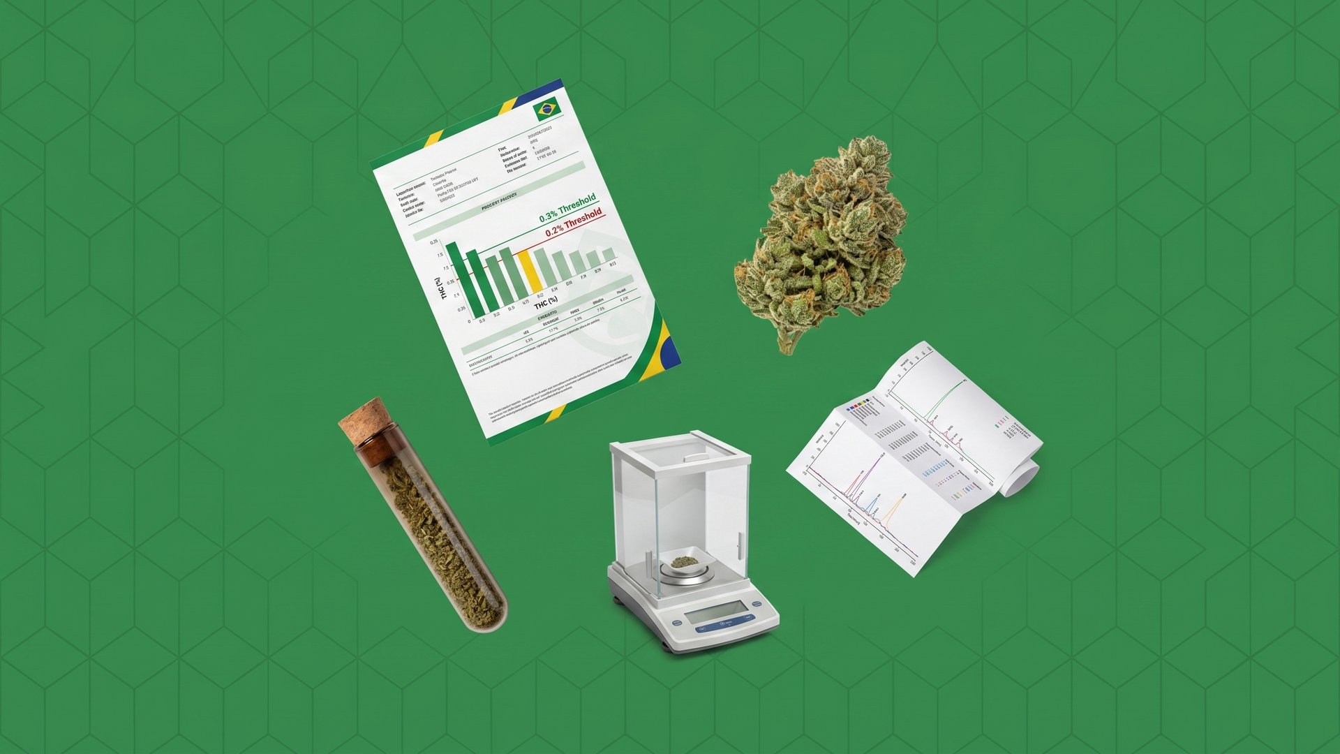 Brazil cannabis THC limit cultivation vs scheduling — laboratory analysis showing 0.3% and 0.2% thresholds