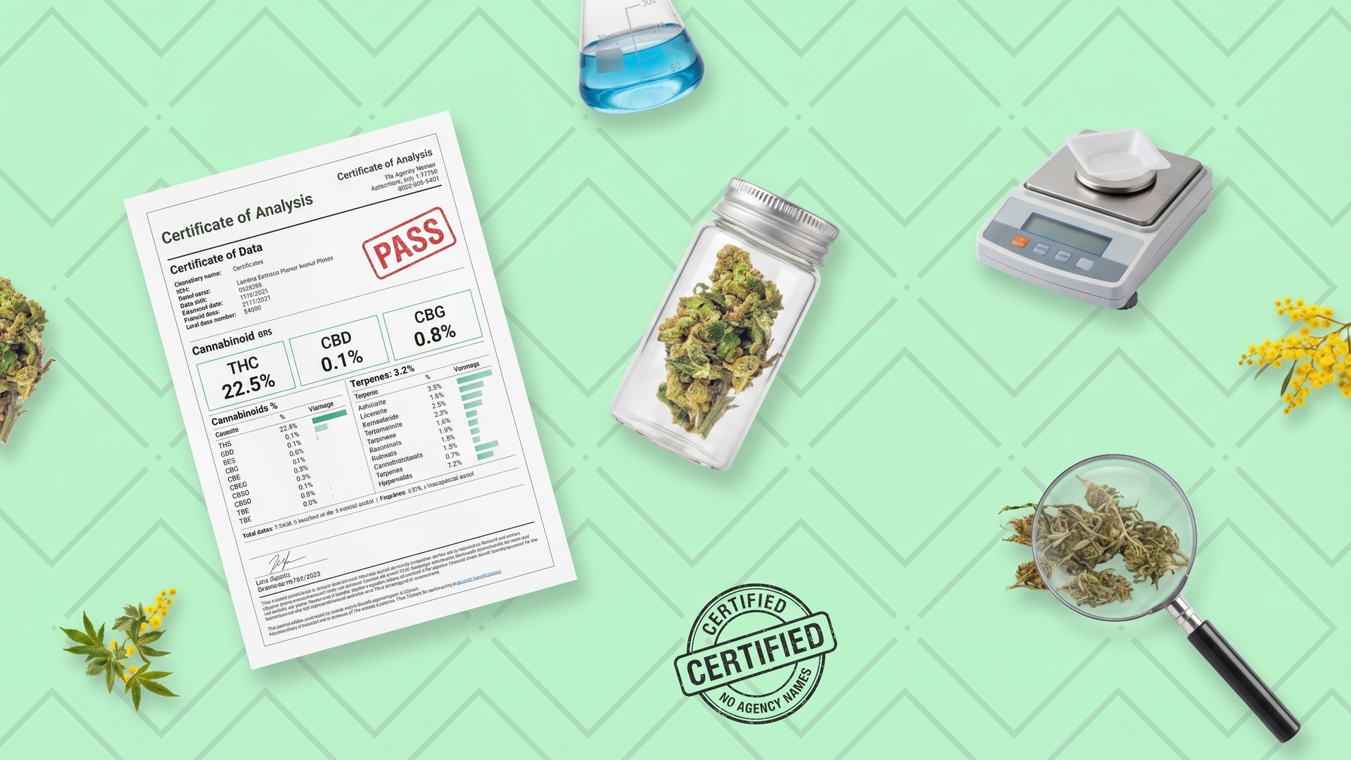 TGO 93 cannabis testing limits Australia guide