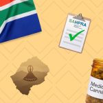 Africa’s Cannabis Frontier: South Africa’s Permit Landscape and Lesotho’s Export Ambitions