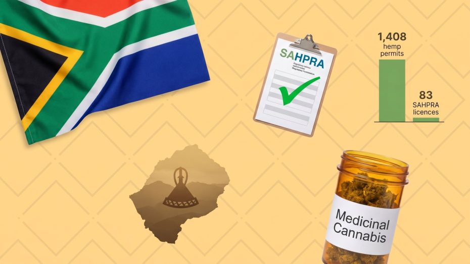 Africa cannabis market 2026: South African flag, SAHPRA compliance checklist, bar chart of 1,408 hemp permits versus 83 SAHPRA licences, Lesotho map silhouette with a Basotho hat, and a Medicinal Cannabis jar