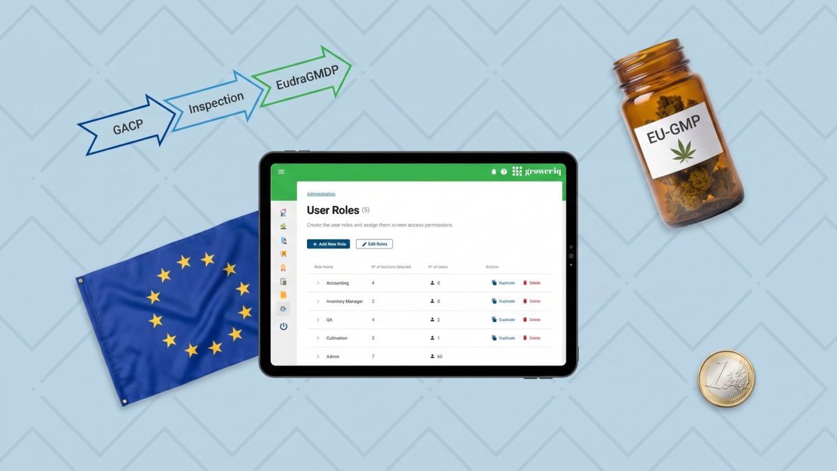 EU-GMP cannabis certification pathway: EU flag, GACP to Inspection to EudraGMDP process flow, GrowerIQ QMS tablet, and an EU-GMP labelled cannabis jar