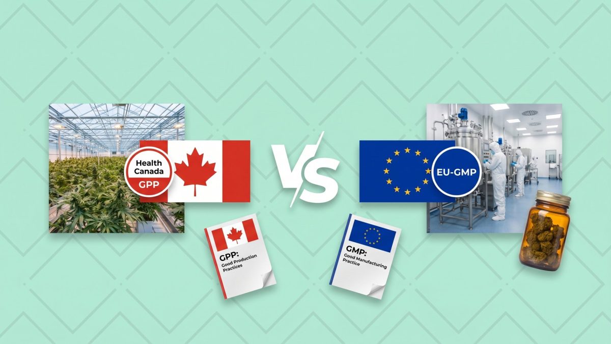 GPP vs GMP cannabis standards comparison: Health Canada Good Production Practices greenhouse versus EU-GMP pharmaceutical cleanroom, with GPP and GMP rulebook documents