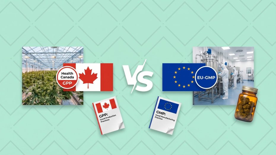 GPP vs GMP cannabis standards comparison: Health Canada Good Production Practices greenhouse versus EU-GMP pharmaceutical cleanroom, with GPP and GMP rulebook documents