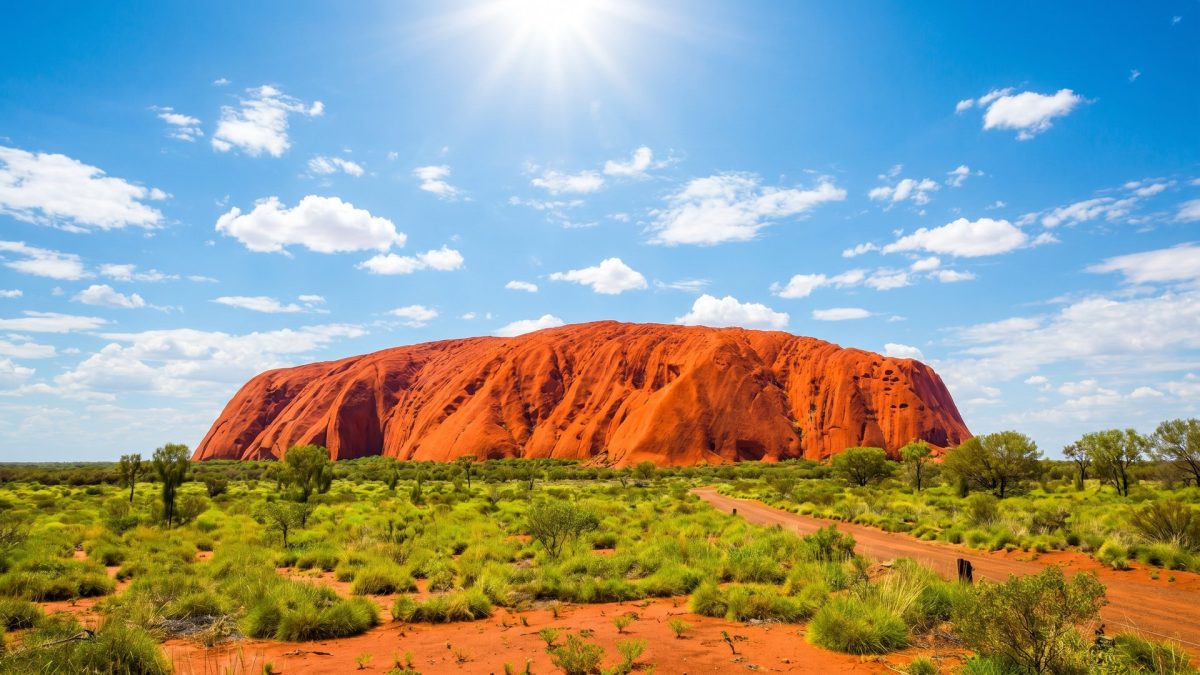 ODC cannabis reporting template update for Australian medicinal cannabis permit holders
