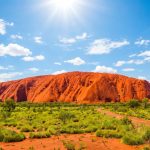 Australia’s ODC Has Replaced the Cannabis Quarterly Reporting Template: What Permit Holders Need to Know