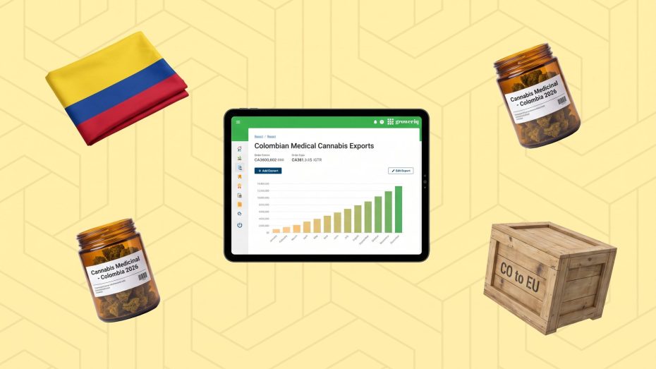 Colombia medical cannabis flower and export readiness in 2026