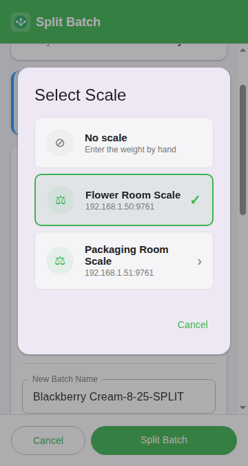 Select Scale list with No scale at the top and the current scale ticked