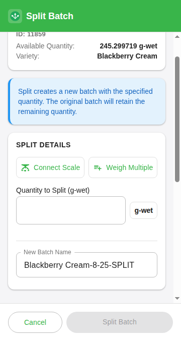 Connect Scale and Weigh Multiple buttons above a weight box on the Split Batch screen